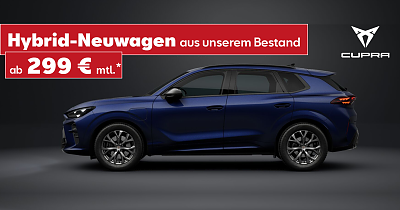 Plug-In-Hybrid ab 299� mtl.*