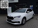 Skoda FABIA STYLE 1.0 TSI DSGKLIMA SITZHEIZ. EPH FSE