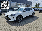 Cupra FORMENTOR 2.0 TDI DSG, CO2-Klasse: D, NAVI 360-GRAD-KAMERA SHZ