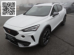 Cupra FORMENTOR VZ 2.0 TSI  DSG NAVI LED DAB+ SITZH.
