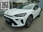 Cupra FORMENTOR VZ 2.0 TSI DSG 4DRIVE, CO2-Klasse: G, MATRIX-LED AHK