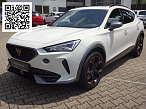 Cupra FORMENTOR VZ 2.0 TSI 4DRIVE DSG GAR.-03/26* NAVI