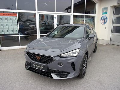 Cupra FORMENTOR 2.0 TSI DSG 4DRIVE AHZV BEHEIZB.LENKR.