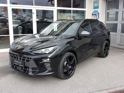 Cupra TERRAMAR VZ 2.0 TSI  DSG 4DRIVE, CO2-Klasse: G, +GAR. +ABT-UMBAU