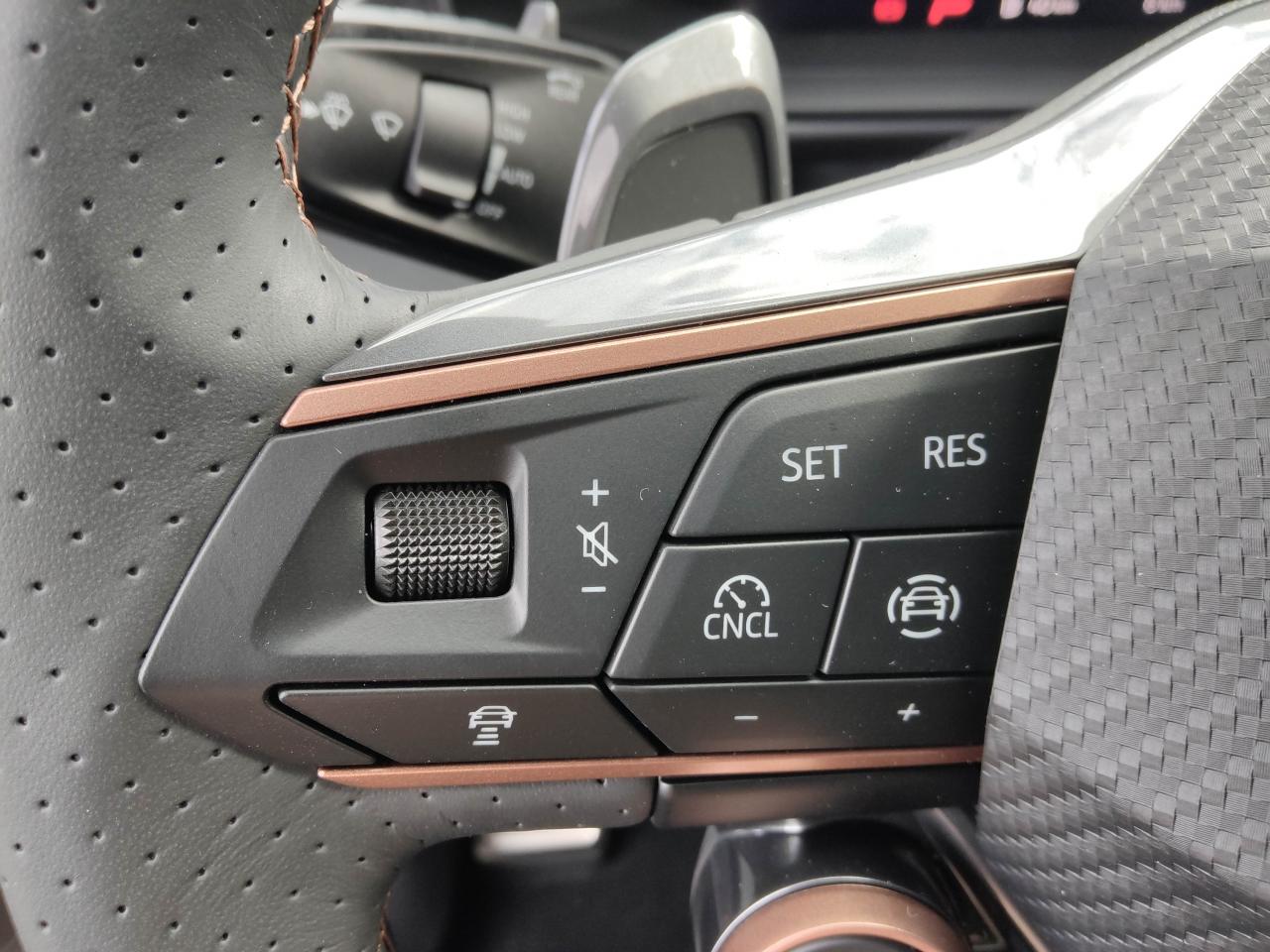 Cupra TERRAMAR 2.0 TSI DSG 4DRIVE, CO2-Klasse: , MATRIX-LED AHZV NAVI Bildbeschreibung: Cupra TERRAMAR 2.0 TSI DSG 4DRIVE, CO2-Klasse: , MATRIX-LED AHZV NAVI