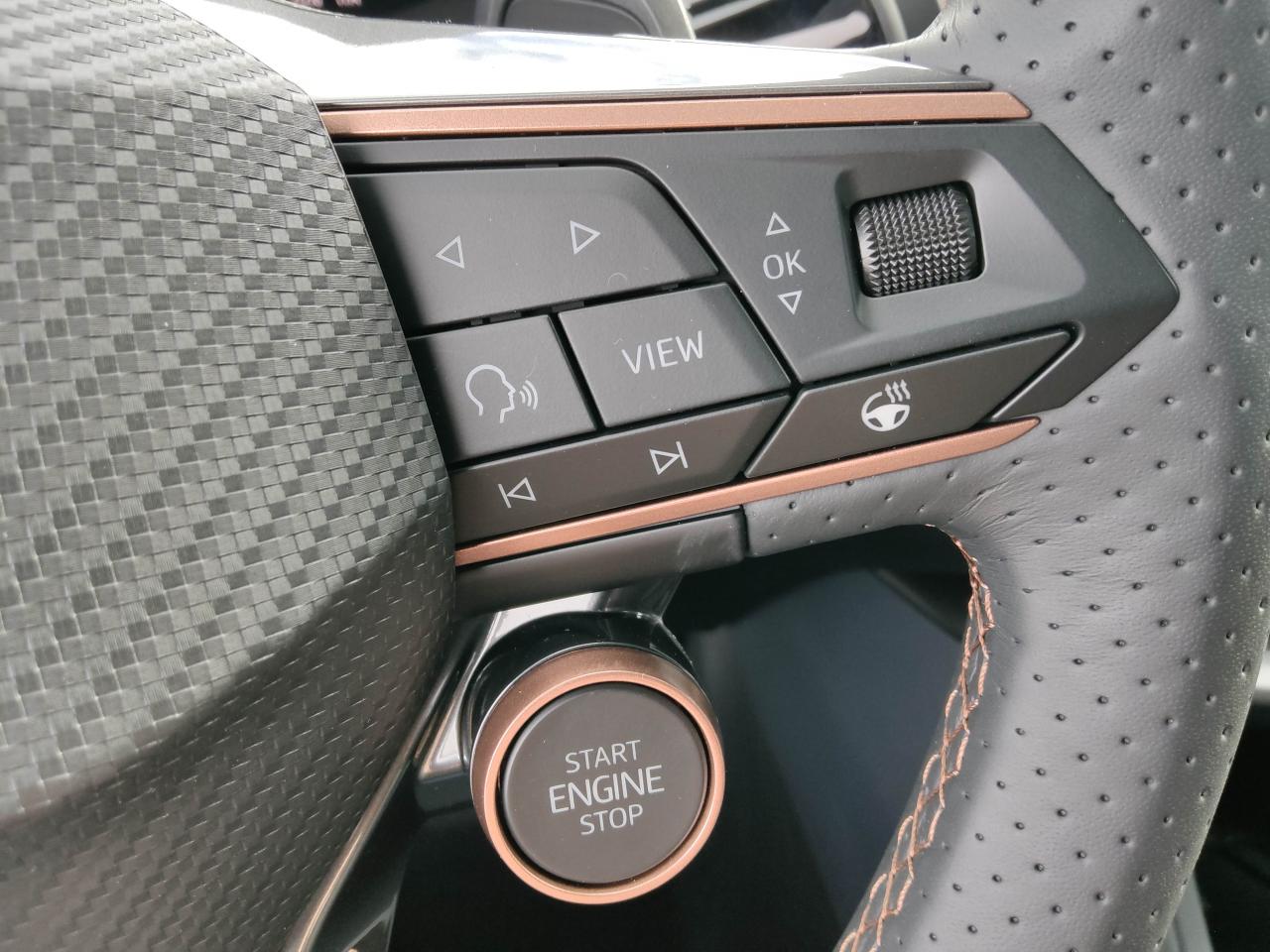 Cupra TERRAMAR 2.0 TSI DSG 4DRIVE, CO2-Klasse: , MATRIX-LED AHZV NAVI Bildbeschreibung: Cupra TERRAMAR 2.0 TSI DSG 4DRIVE, CO2-Klasse: , MATRIX-LED AHZV NAVI